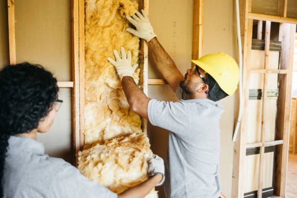 Best Insulation Repair Services  in Pinehurst, NC