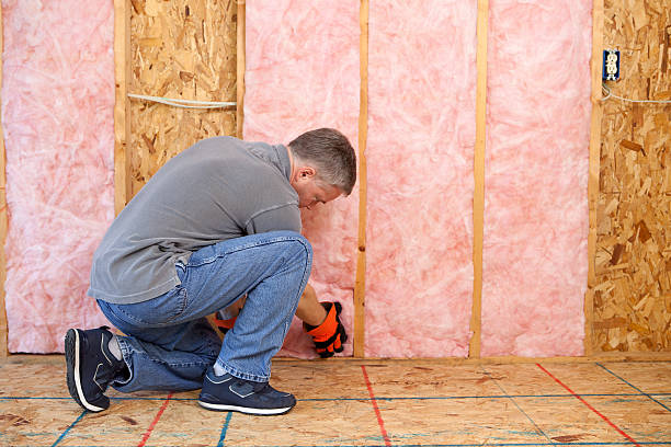 Best Blown-in Insulation  in Pinehurst, NC