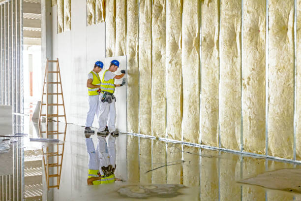Best Insulation for Commercial Buildings  in Pinehurst, NC